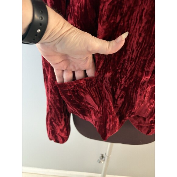 Vintage Sandra Darren Jacket 12 Red Crushed Velvet Castlecore Vamp Holiday - Picture 14 of 16